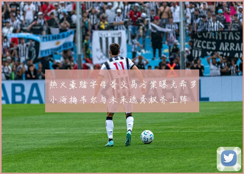 热火豪赌字母哥交易方案曝光希罗小海梅韦尔与未来选秀权齐上阵